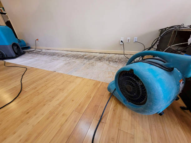 Professional Structural Drying technician working in Walnut Creek, NC